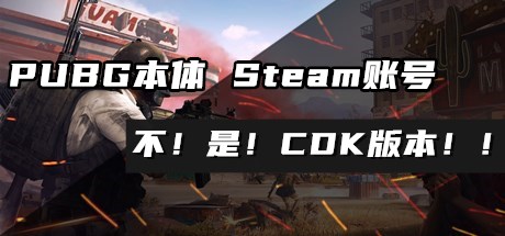 绝地求生大逃杀 游戏Steam账号（不是CDK，如需CDK版请另在本站搜索）